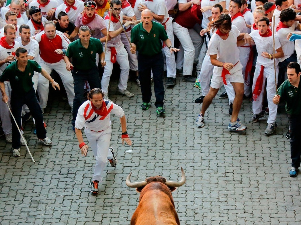 Bull-chase-big-picture