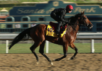 The Breeder’s Cup
